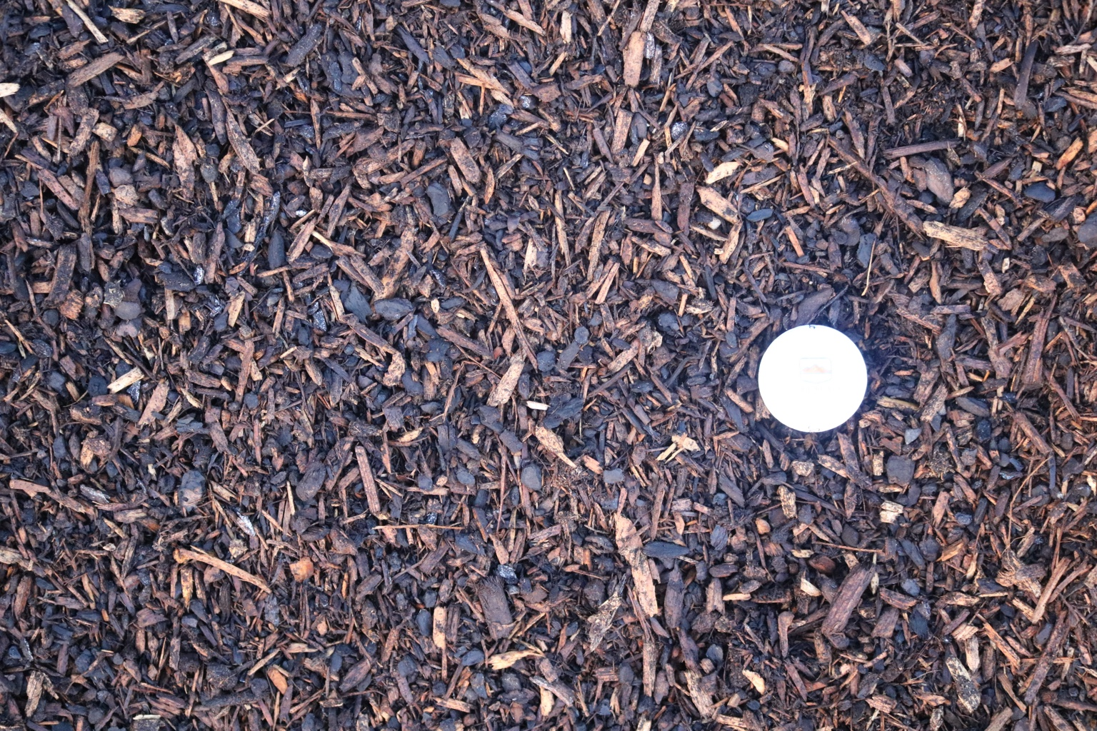 Soil Pep