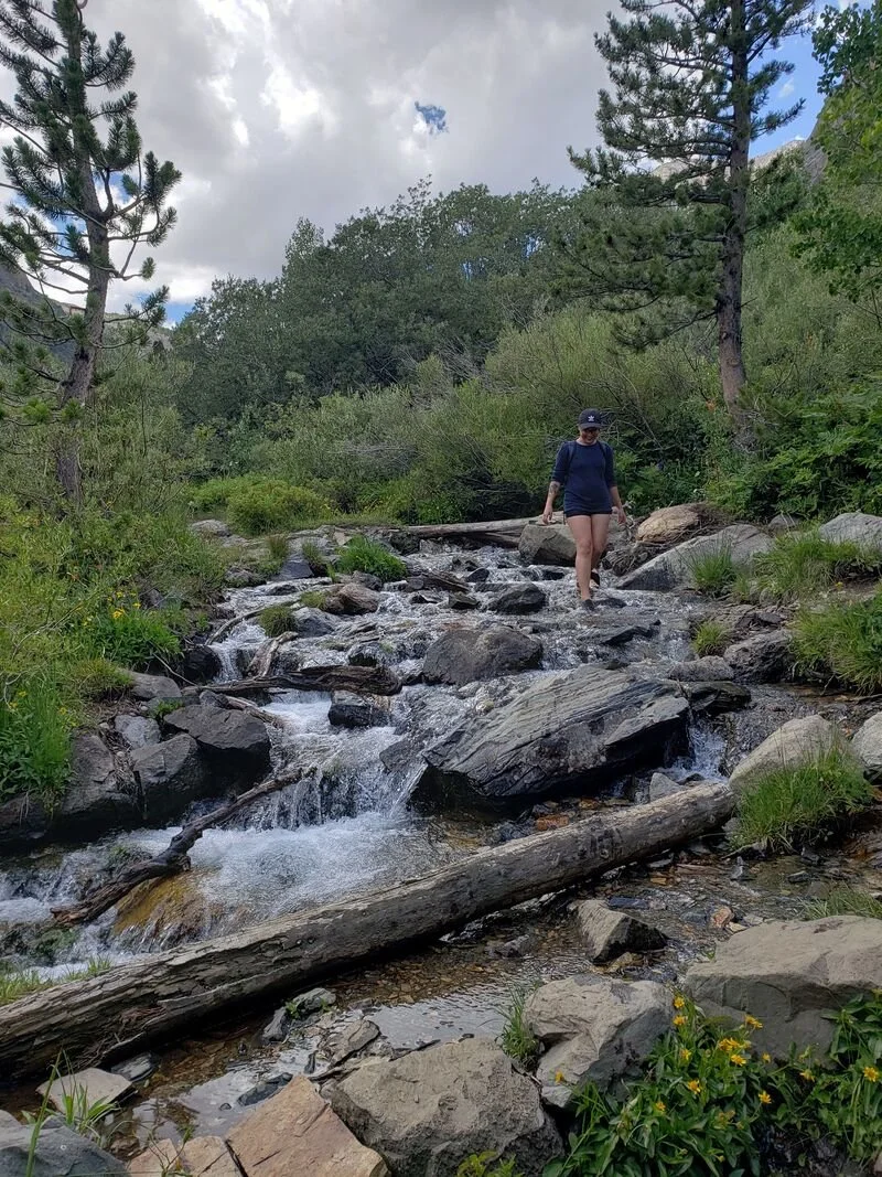 Inyo National Forest
