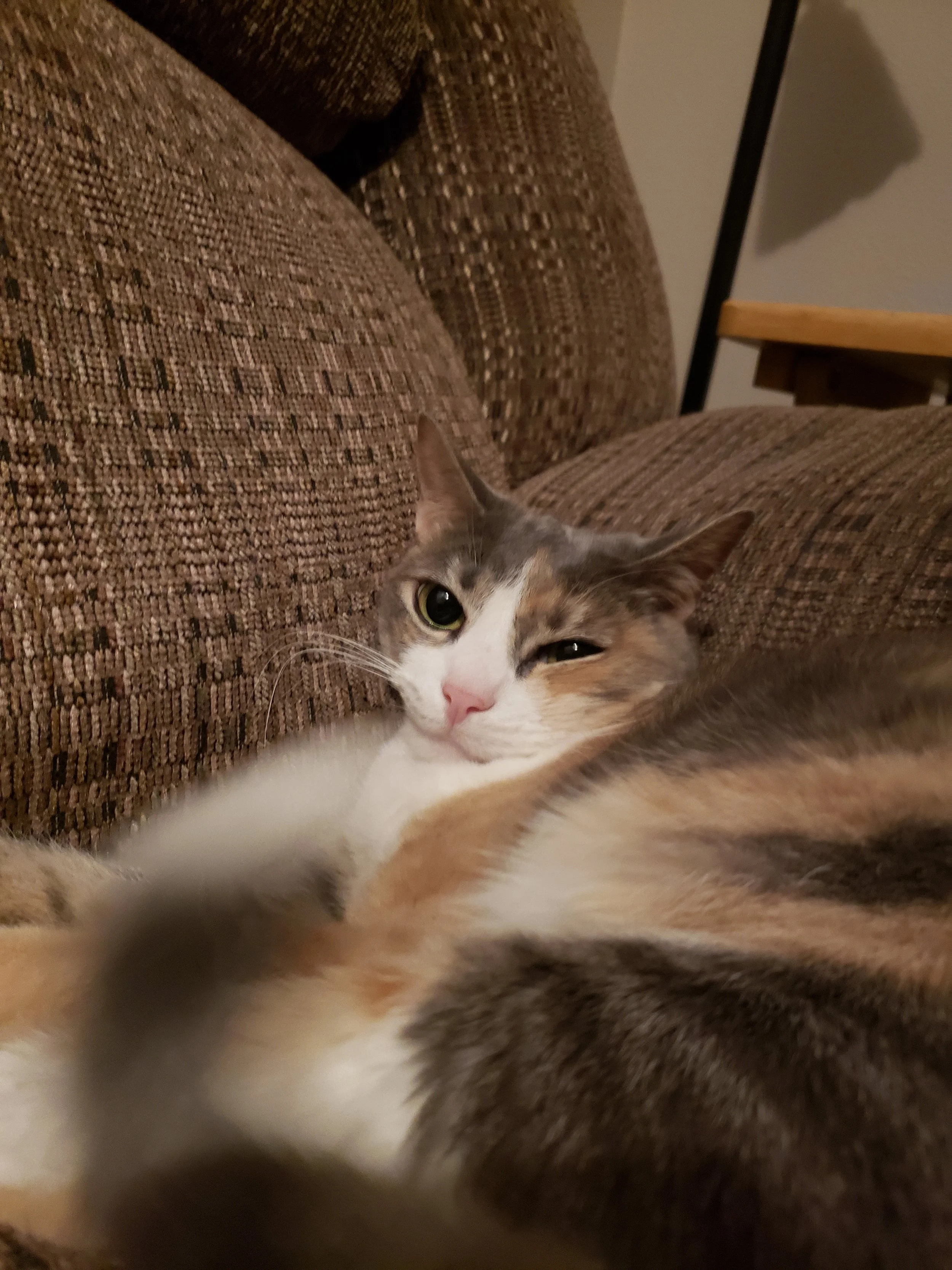 Winry