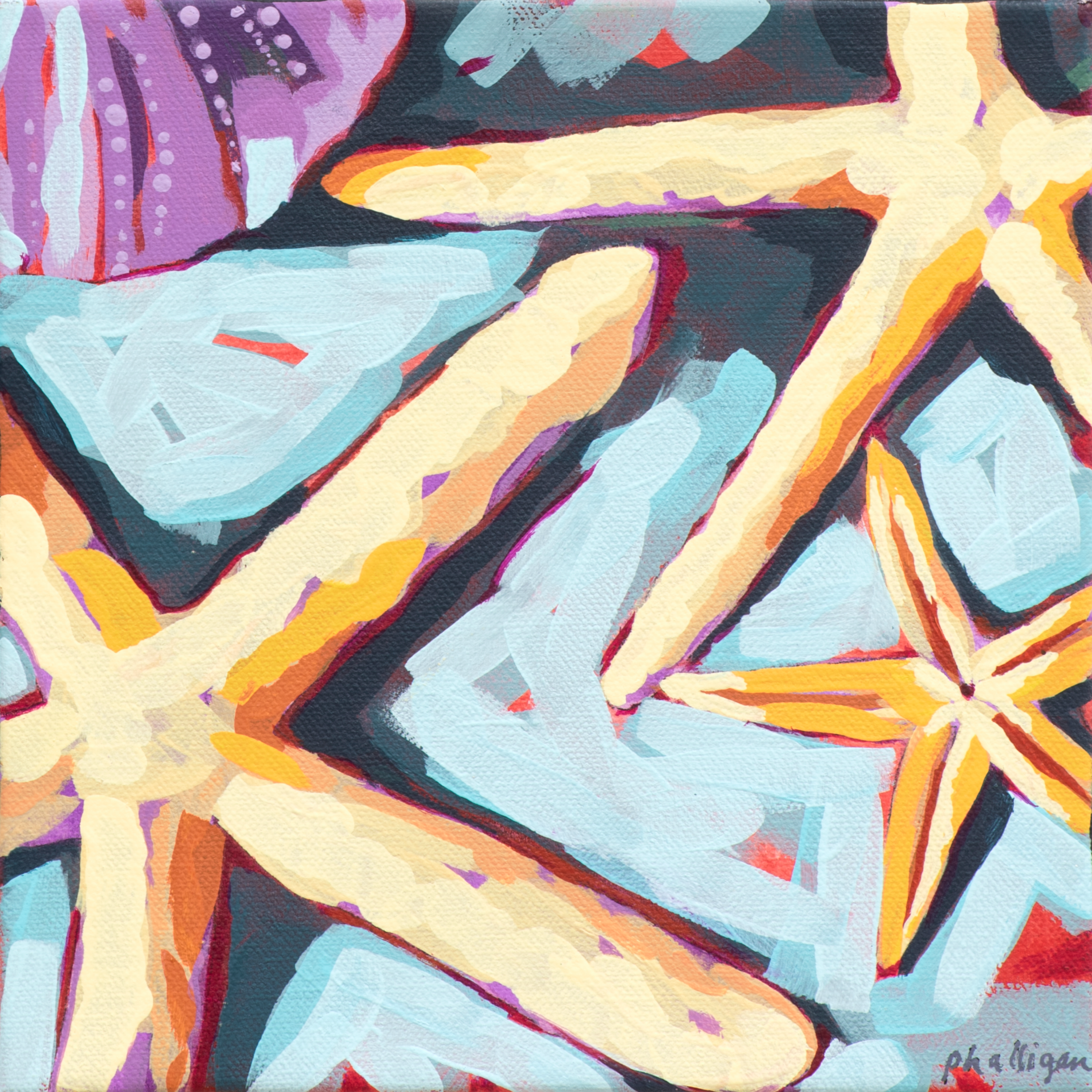 Sea+Stars.png