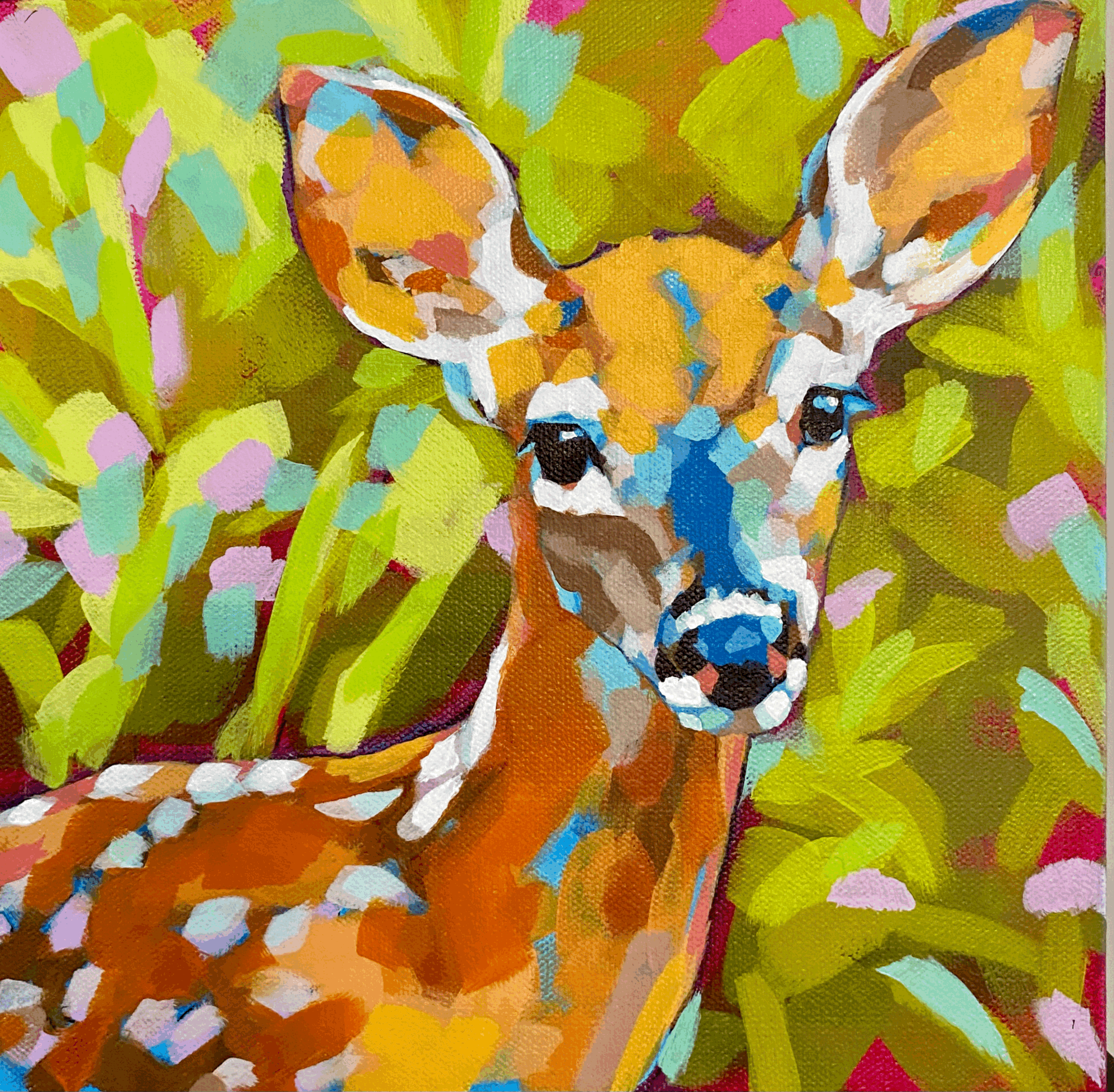 Deer