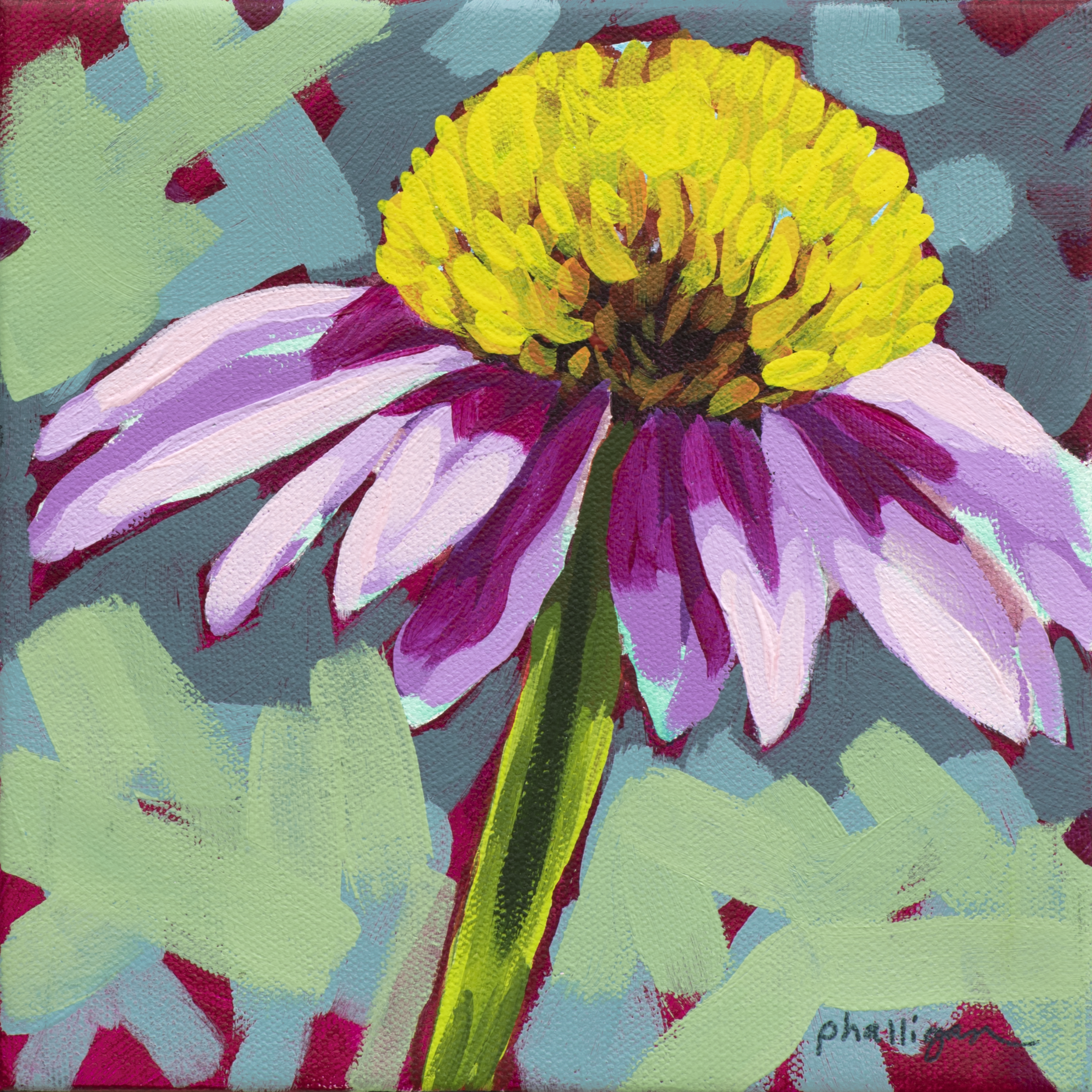 Coneflower