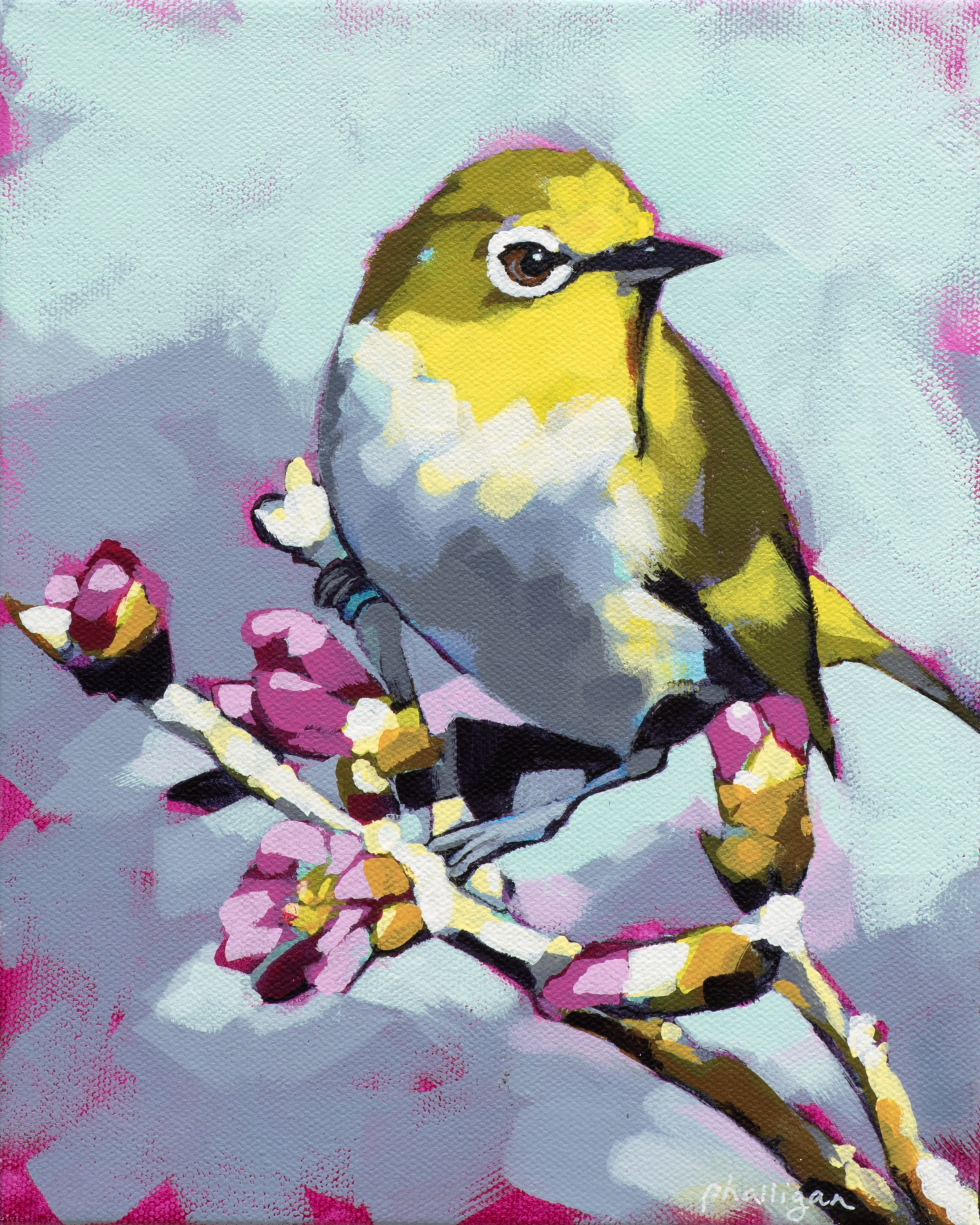 Bird's Eye View Print