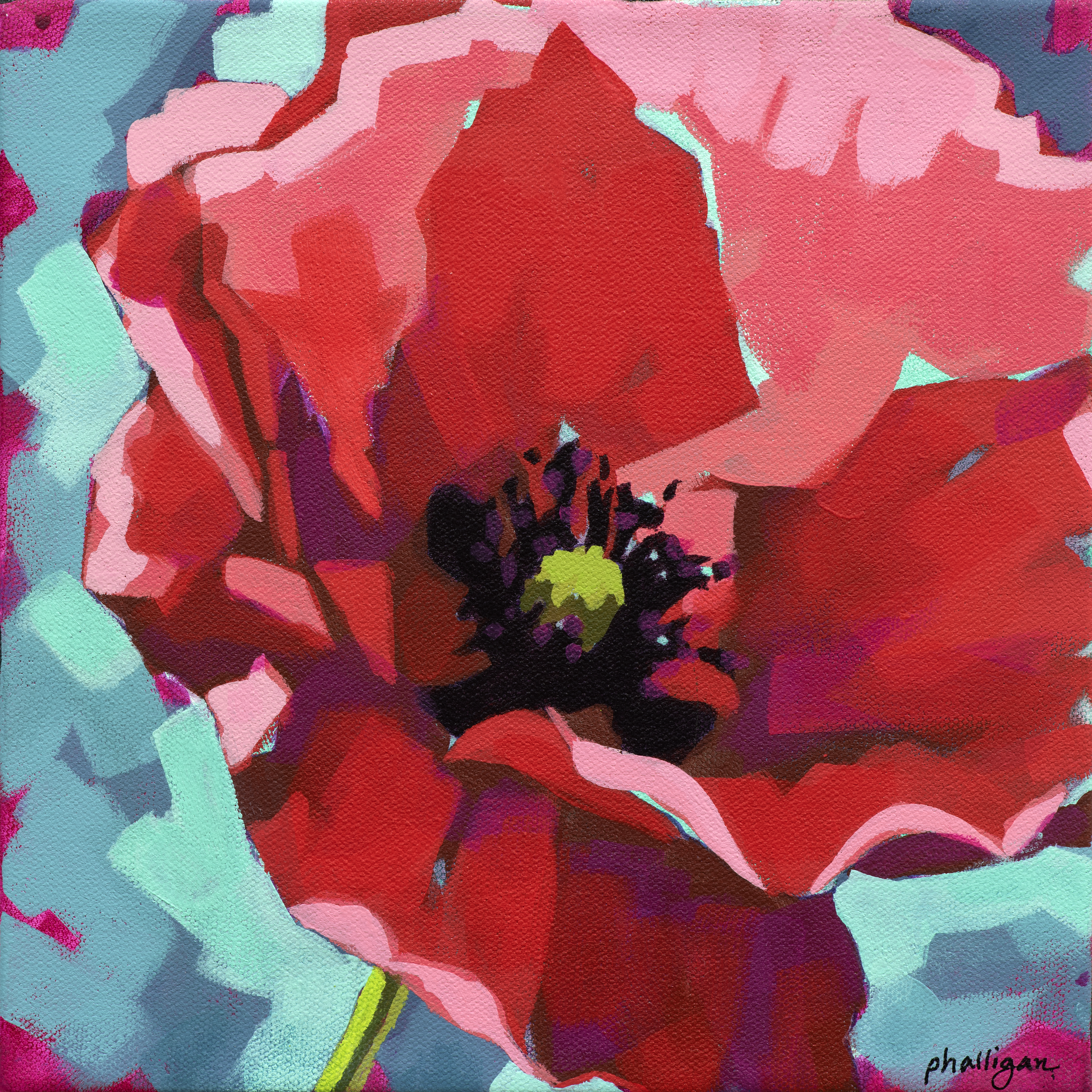 Poppy
