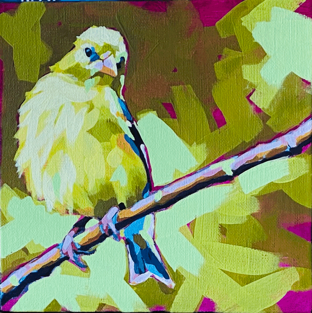 Golden Finch