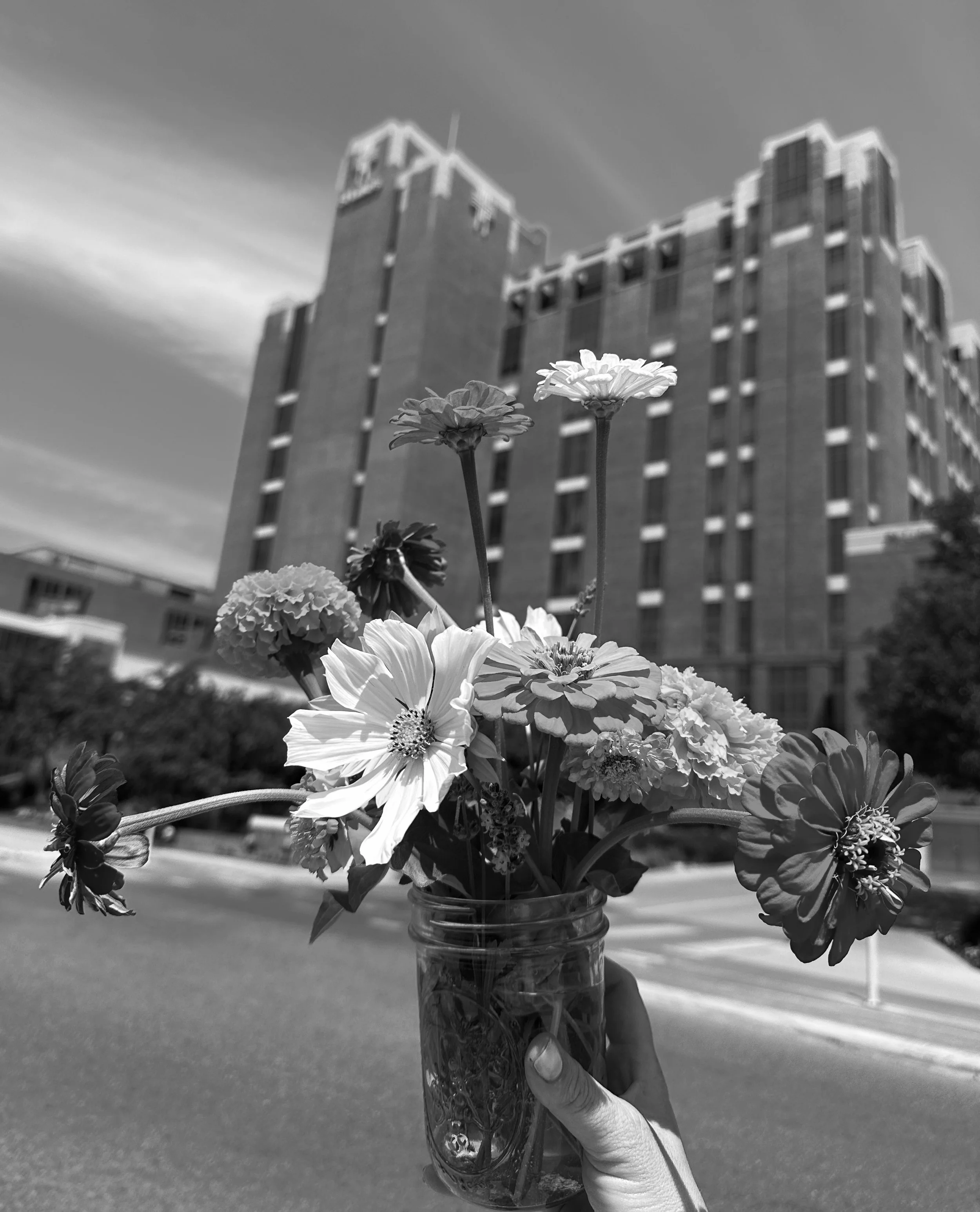 IMG_2236 2.JPG