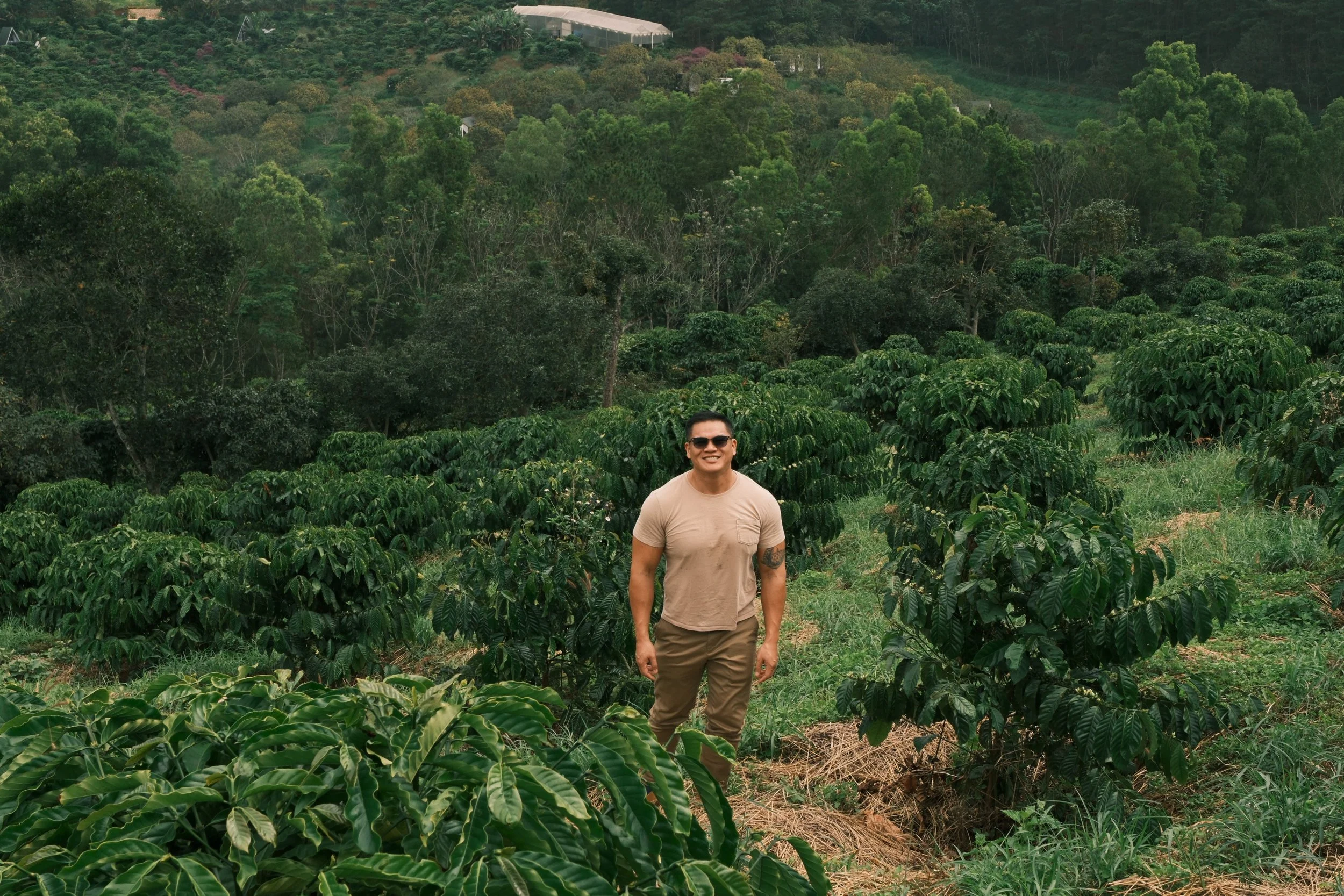 A man standing in a lush, green coffee plantation with hills and trees in the background.