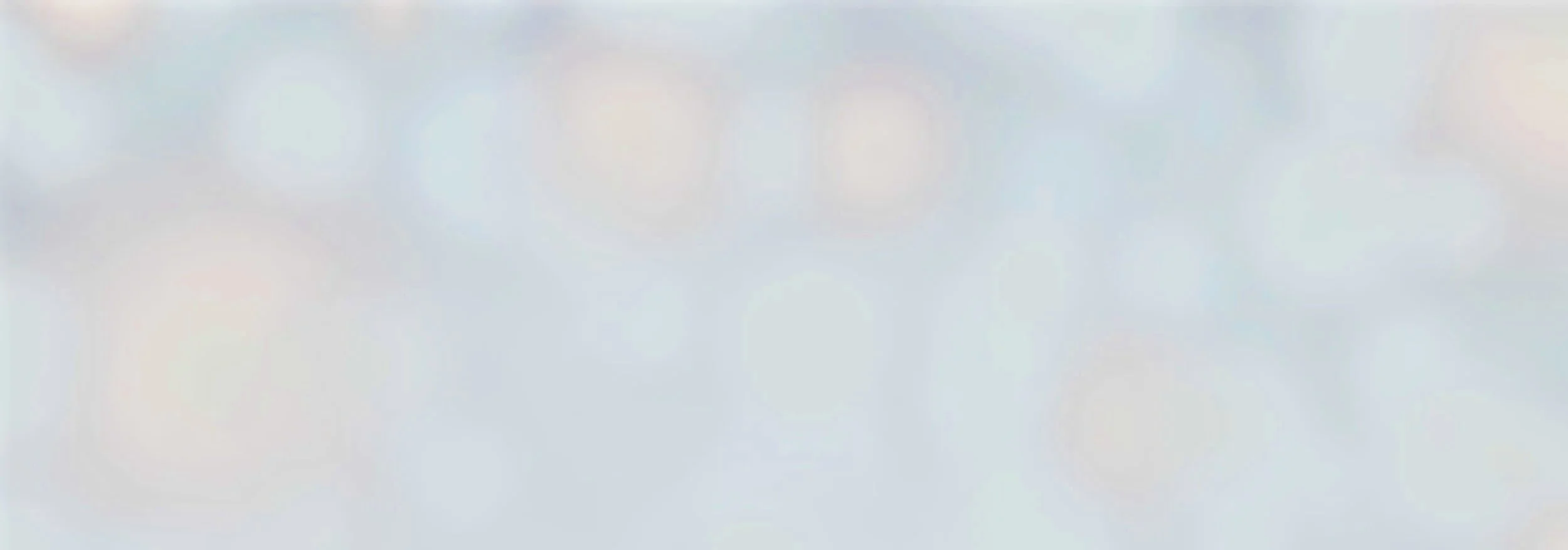 homebanner3.jpg