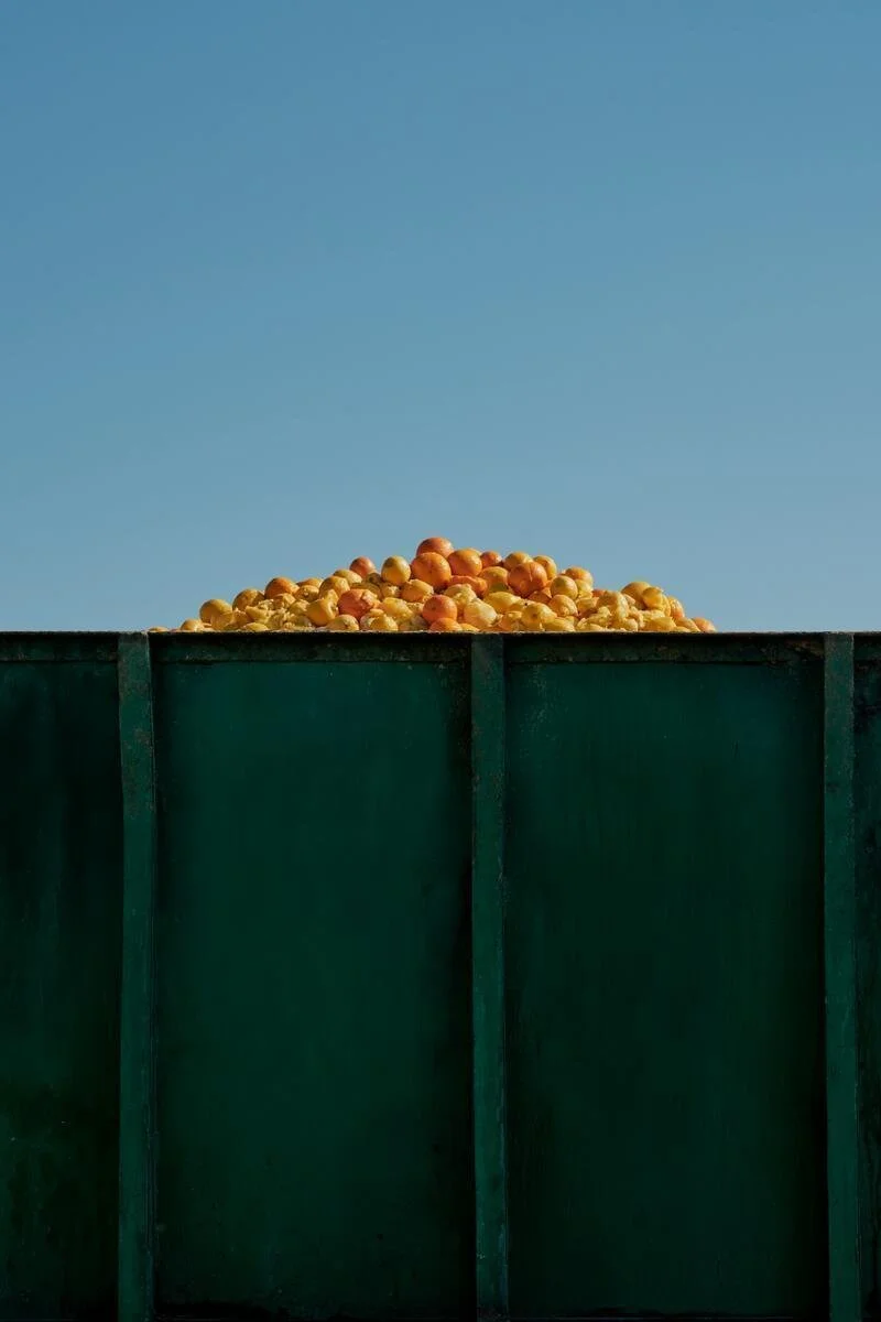 25005_FarmToLabel_CitrusFarm_Still_48.jpg
