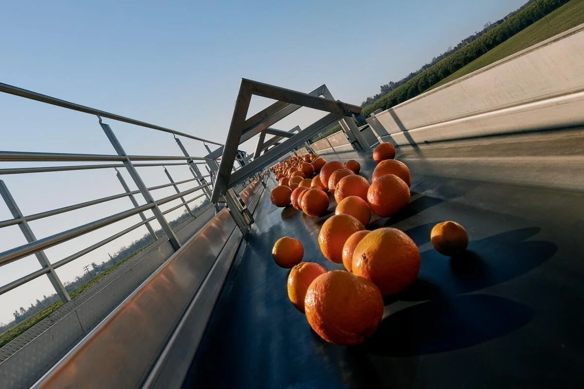 25005_FarmToLabel_CitrusFarm_Still_274.jpg