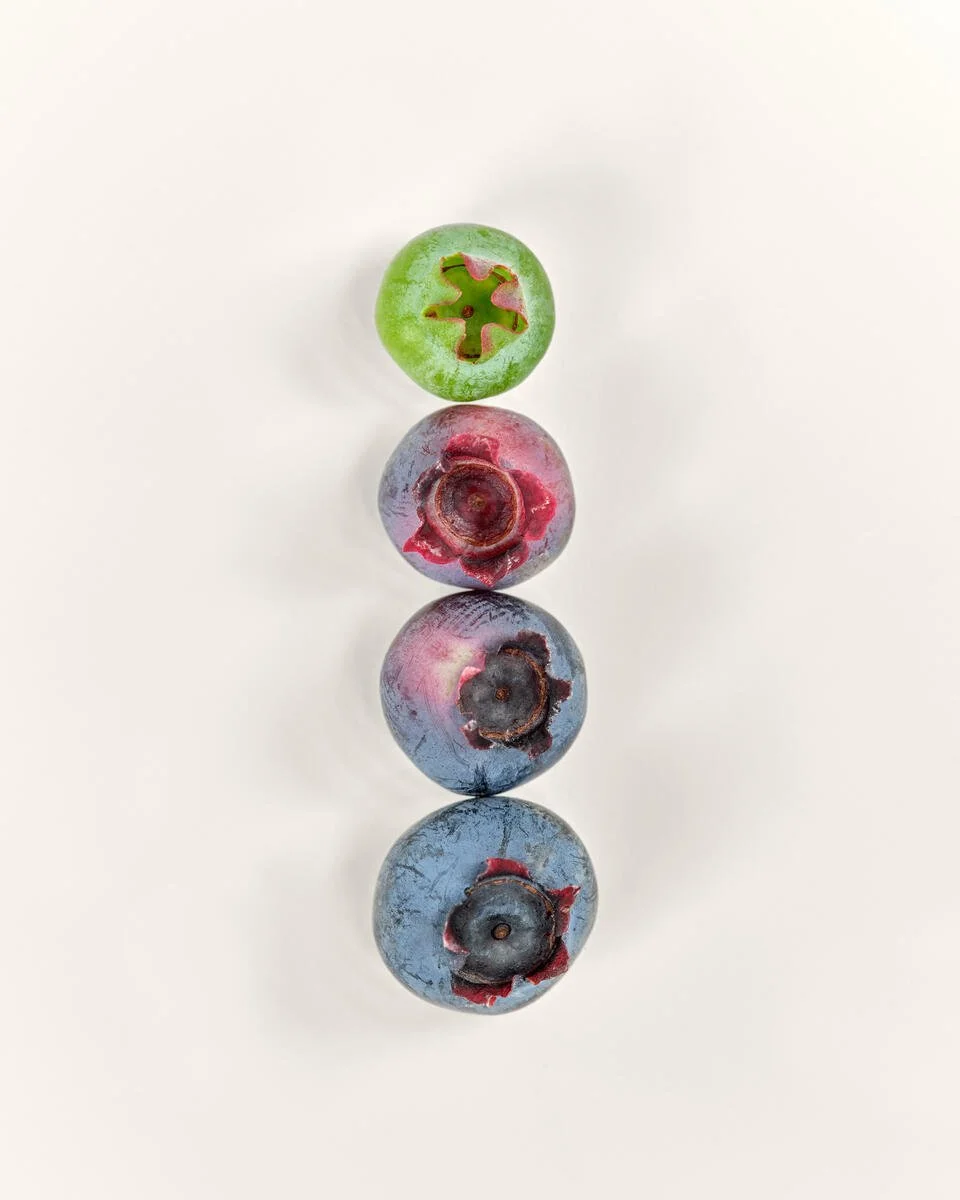 AG1_Bilberry_2023_024_B.jpg