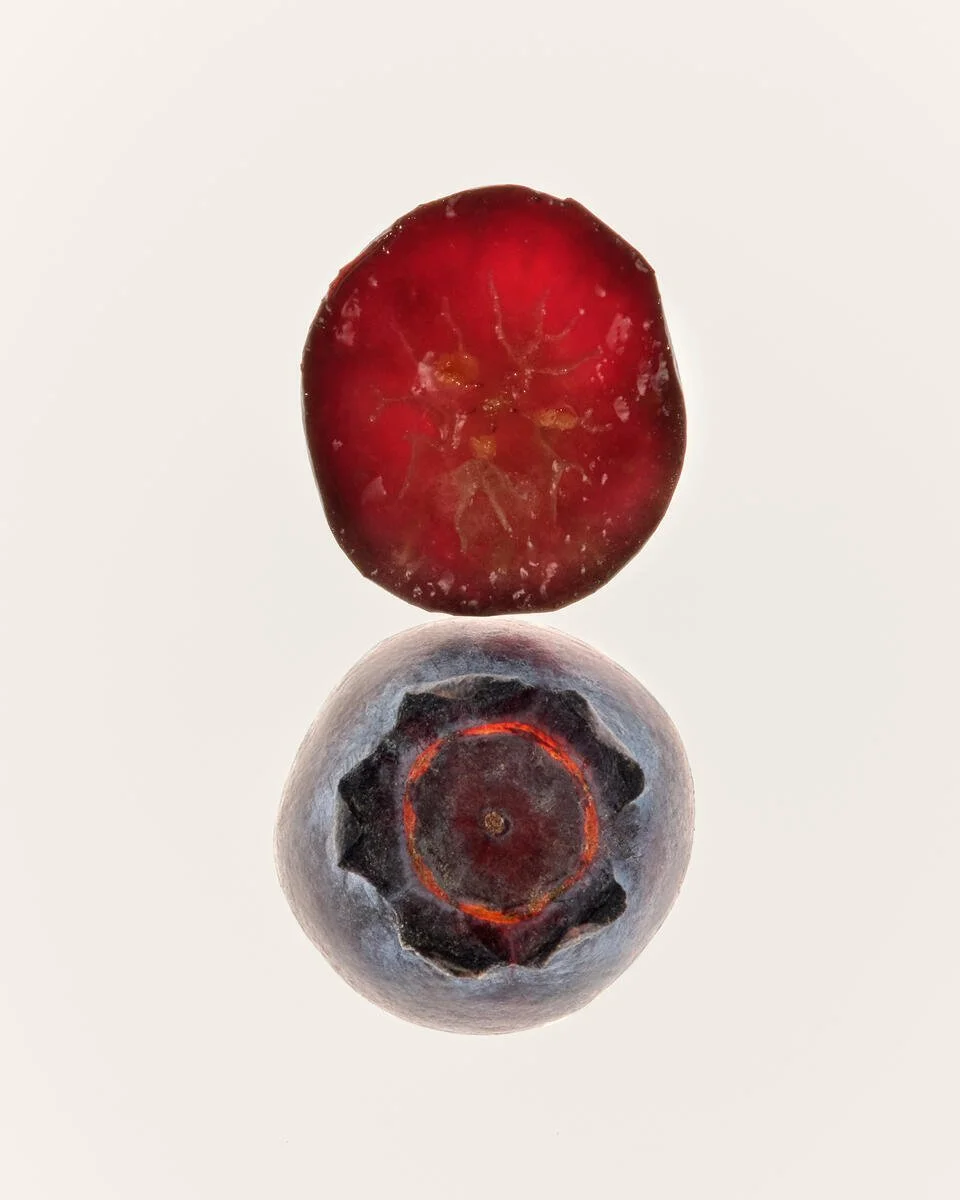 AG1_Bilberry_2023_051_B.jpg