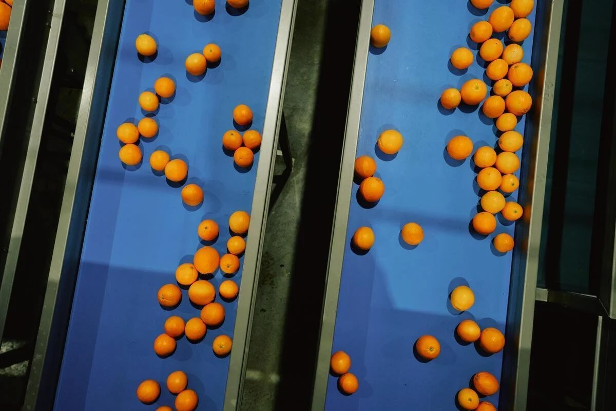 25005_FarmToLabel_CitrusFarm_Still_703.jpg