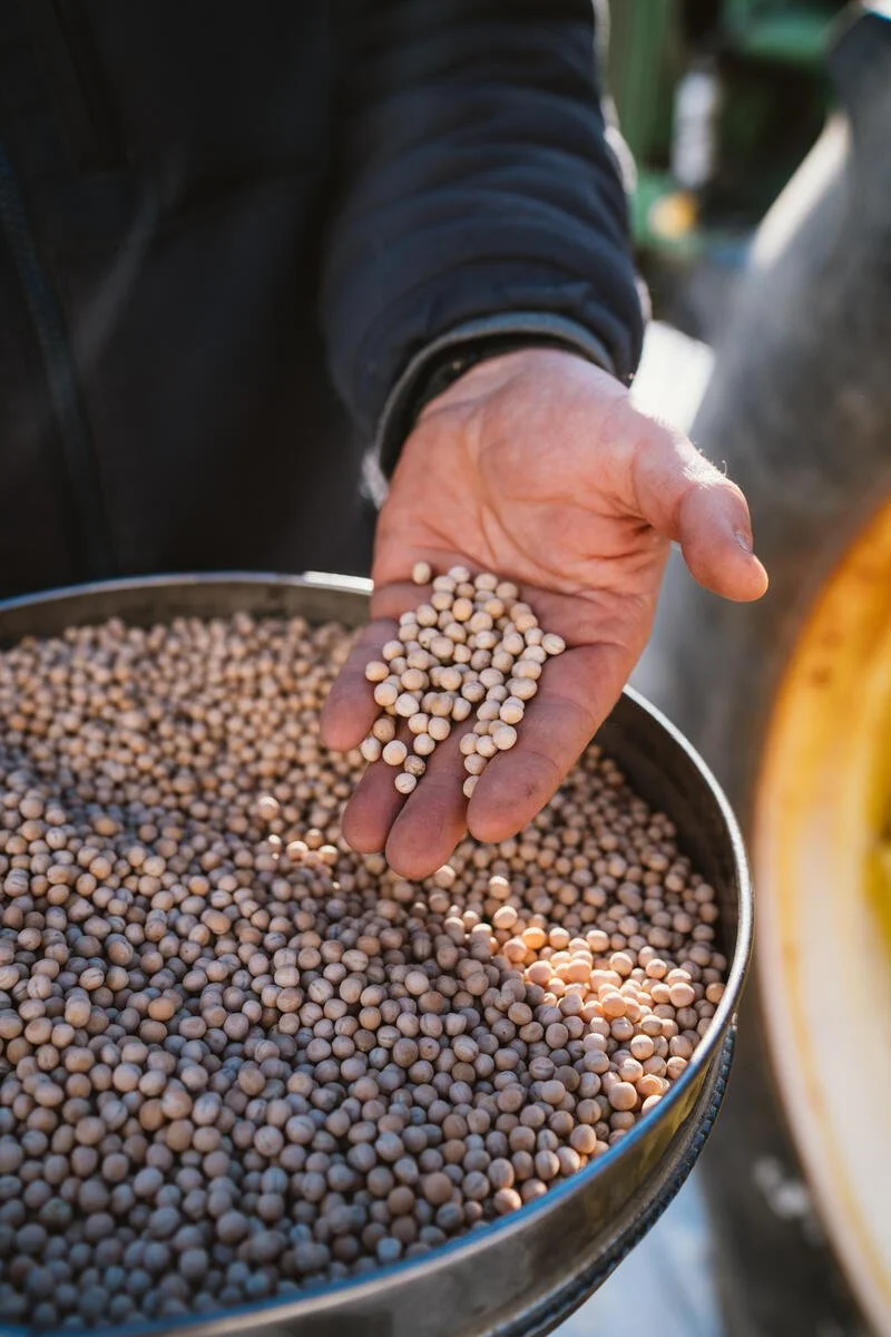 Lifestyle_FTL-Peas_121824_020_A7V09240_Kelley.jpg