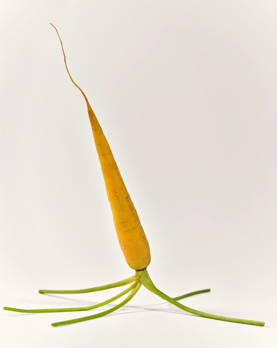 AG1_Carrots_2023_004_B.jpg