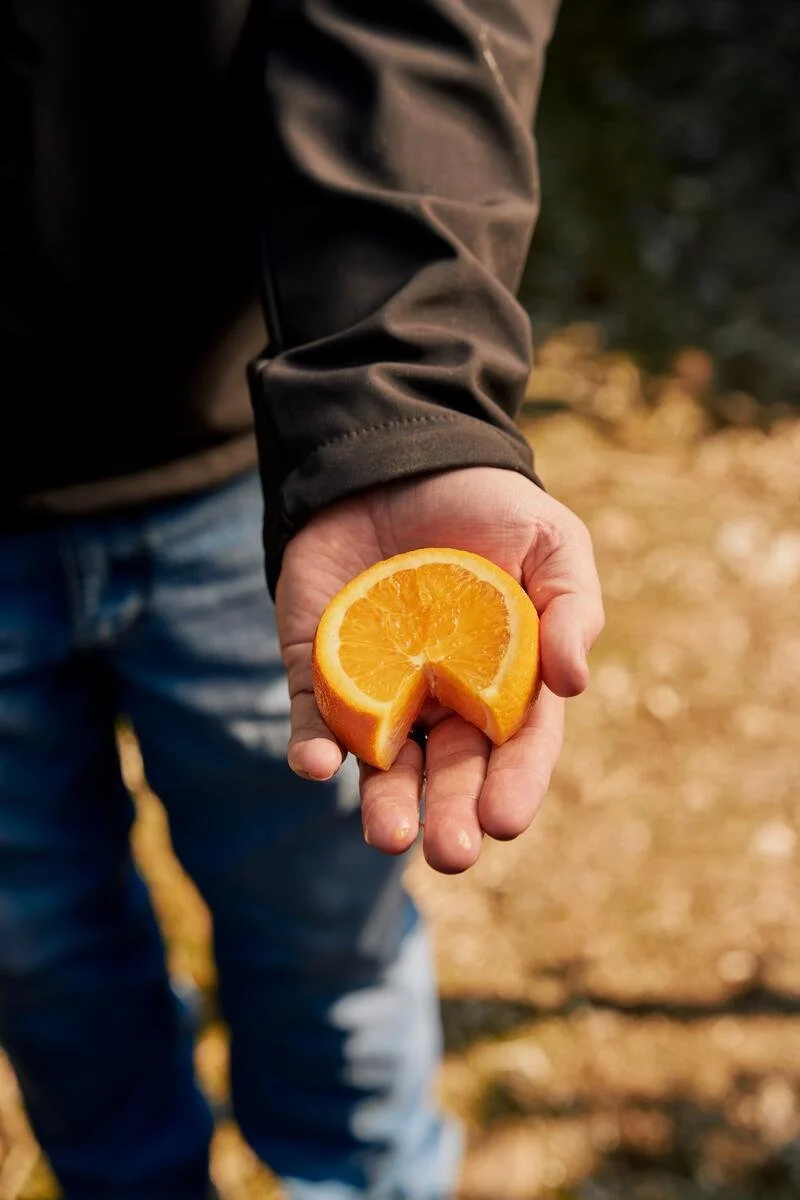 25005_FarmToLabel_CitrusFarm_Still_1127.jpg