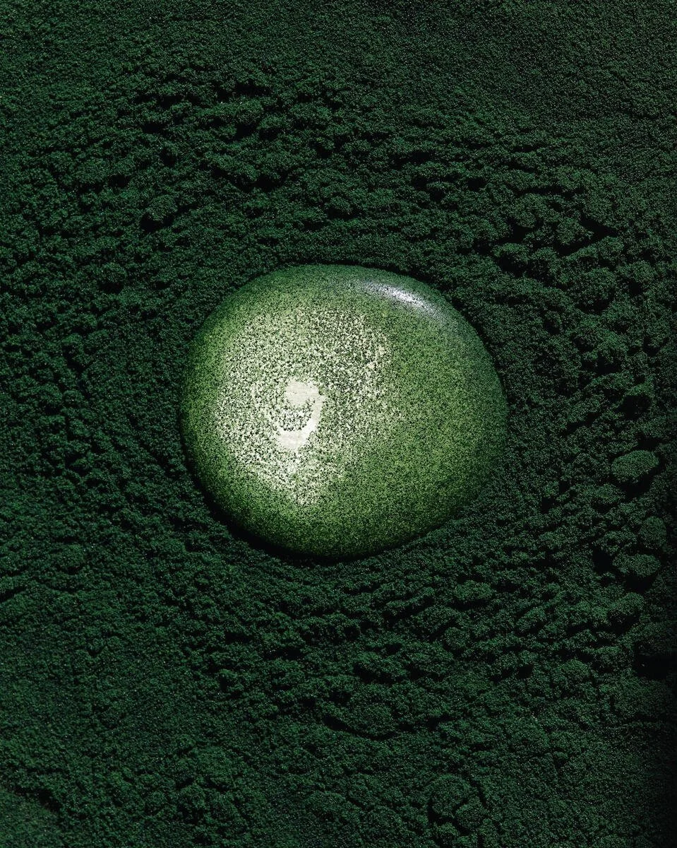 AG1_Spirulina_2023_058_B.jpg