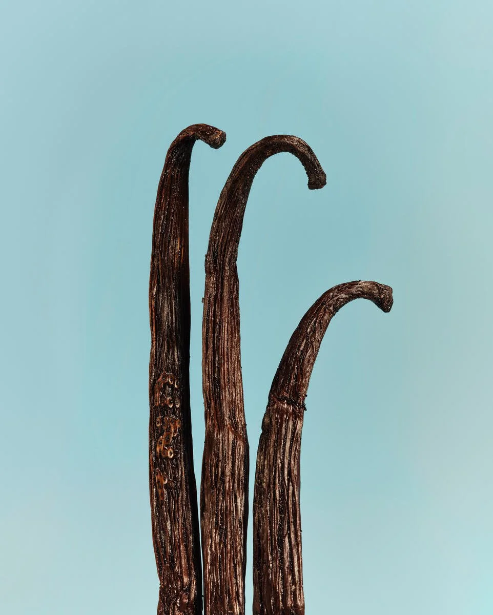 AG1_Vanilla_2023_101_C.jpg