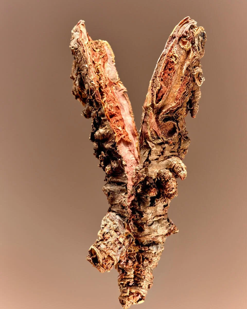 AG1_Rhodiola_2023_050.jpg