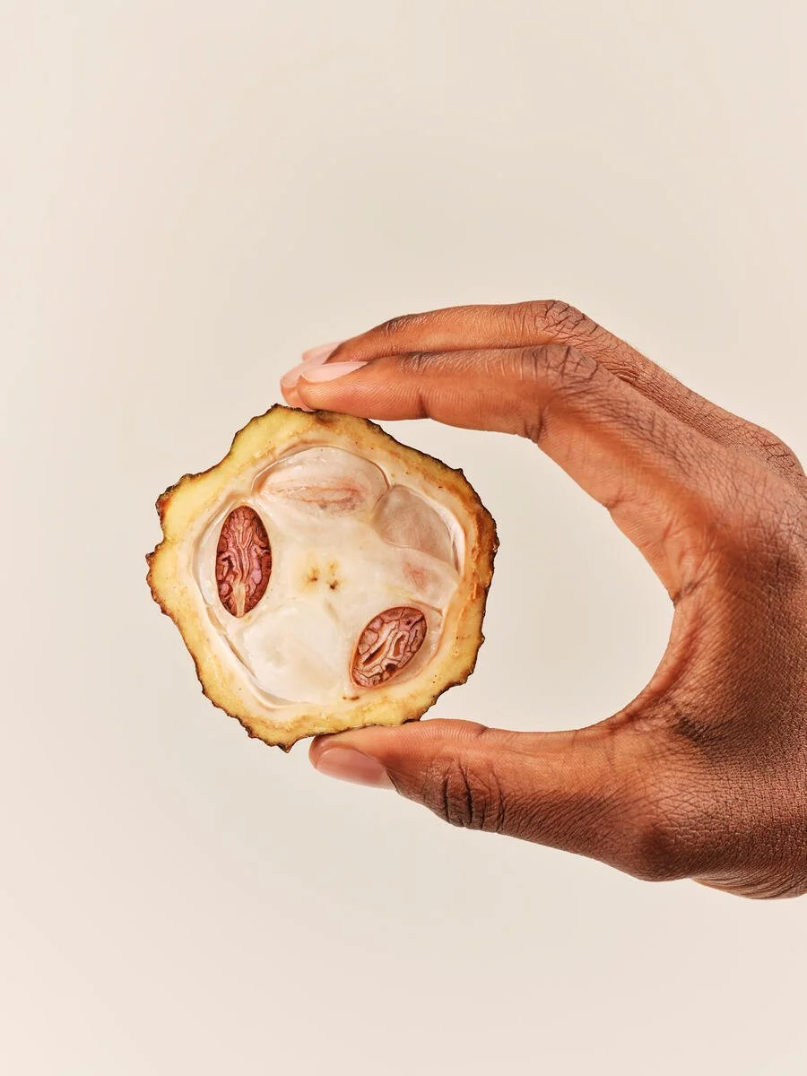 AG1_Cocoa_2023_083_A.jpg