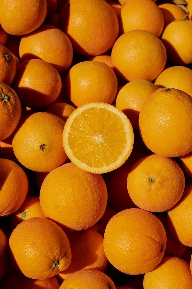 25005_FarmToLabel_CitrusFarm_Still_644.jpg