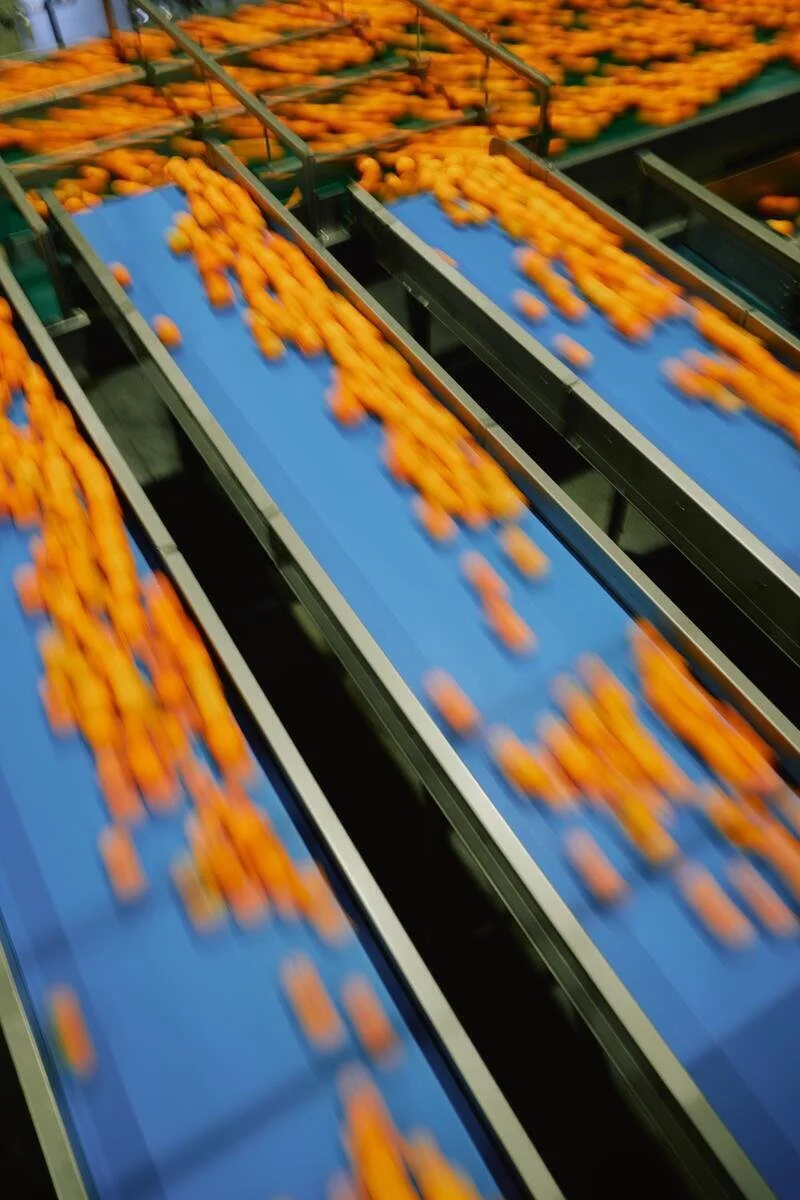 25005_FarmToLabel_CitrusFarm_Still_685.jpg