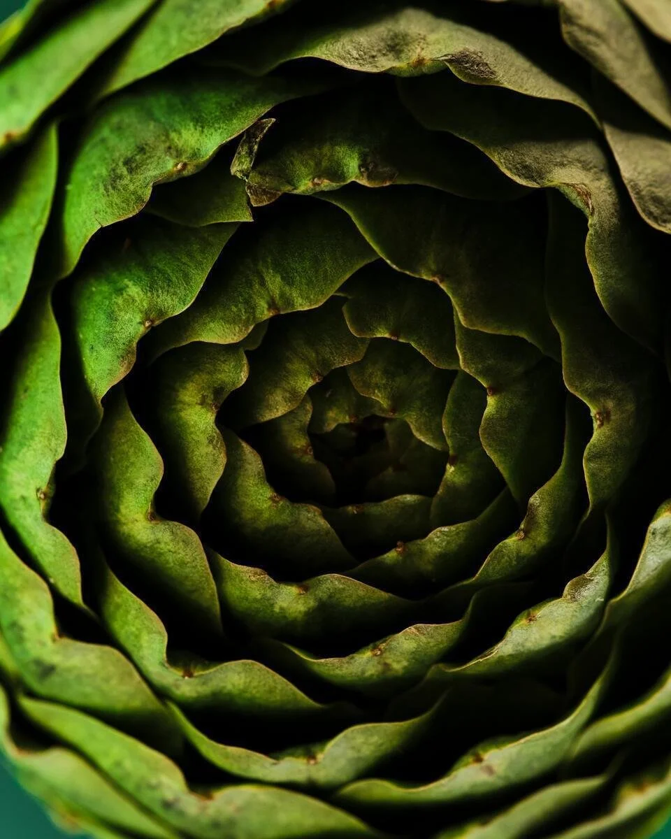 AG1_NextGen_Ingredients_Artichoke_2025_001.jpg