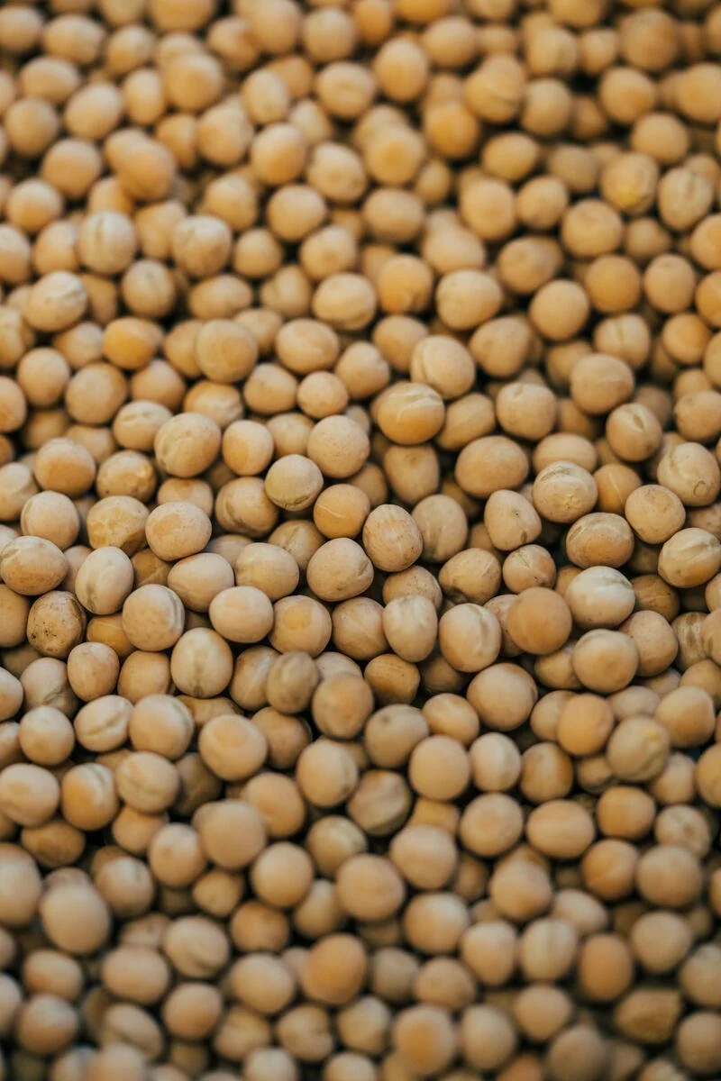 Lifestyle_FTL-Peas_121824_028_A7V08999_Kelley.jpg