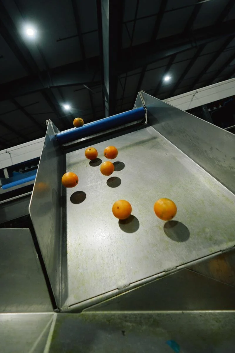 25005_FarmToLabel_CitrusFarm_Still_831.jpg