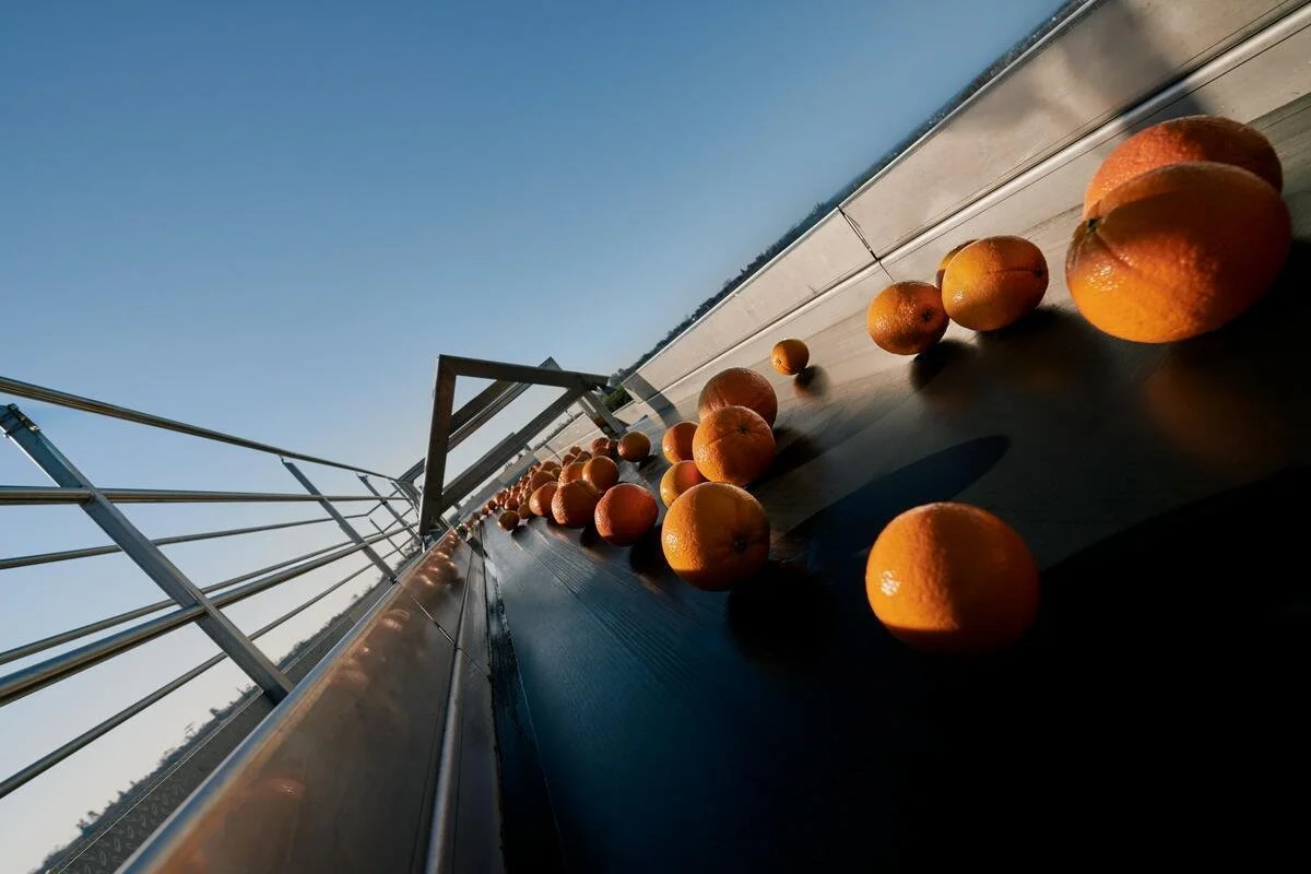 25005_FarmToLabel_CitrusFarm_Still_320.jpg