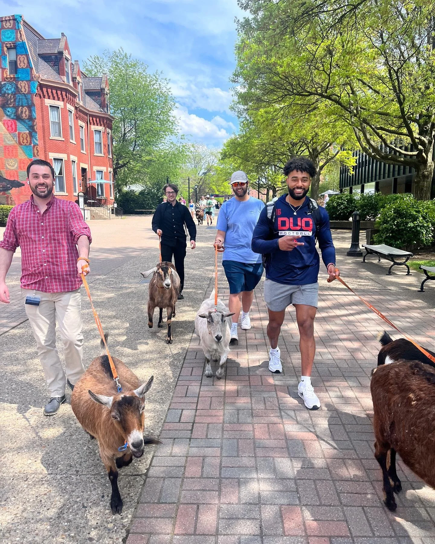 A group of staff and volunteers working alongside goats in a Pittsburgh neighborhood. The group includes three men and one woman, all smiling and dressed casually. The setting is outdoors with trees, benches, and historic buildings in the background.