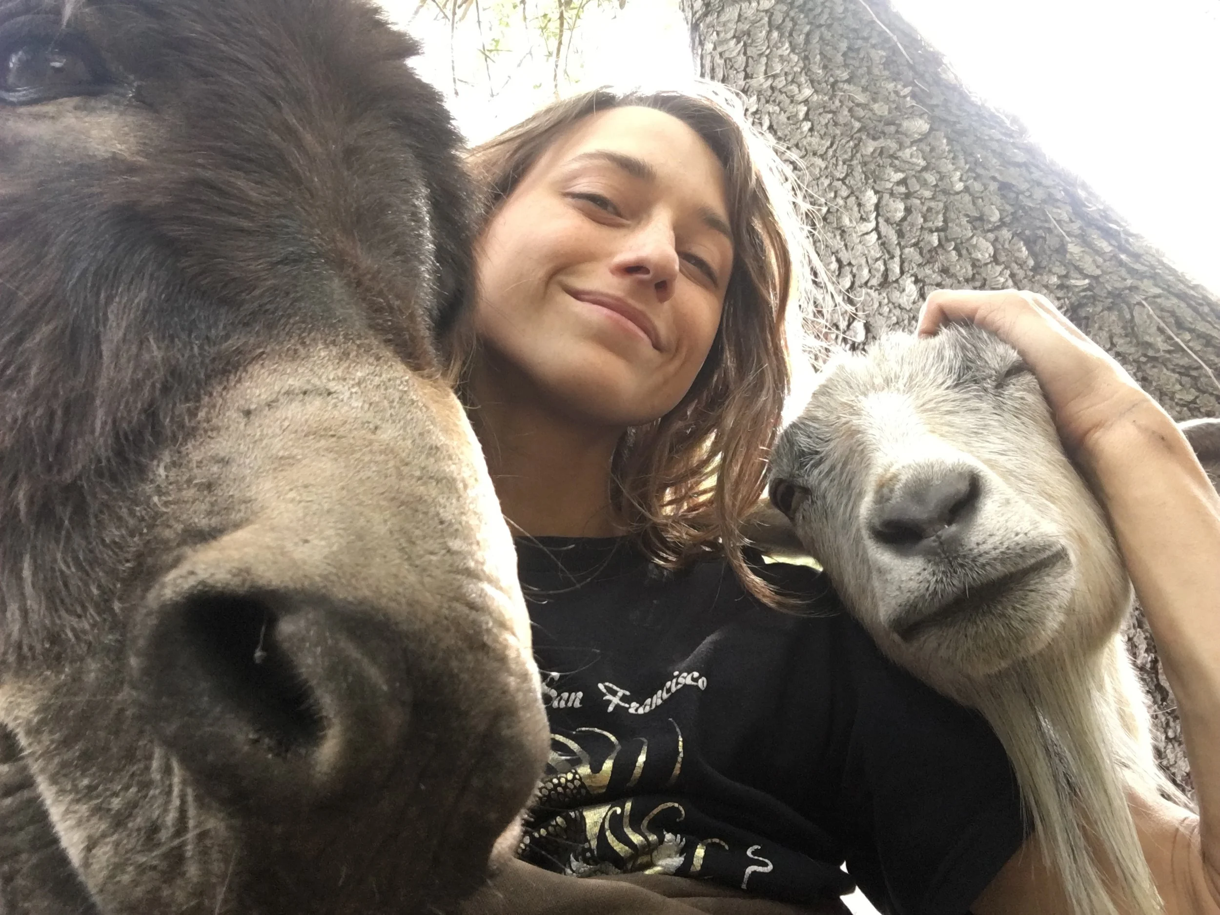 Hillary smiling and hugging two goats outdoors near a tree.