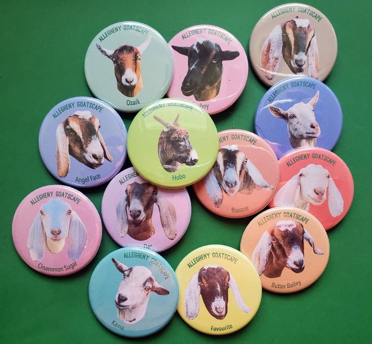 AGS Pins