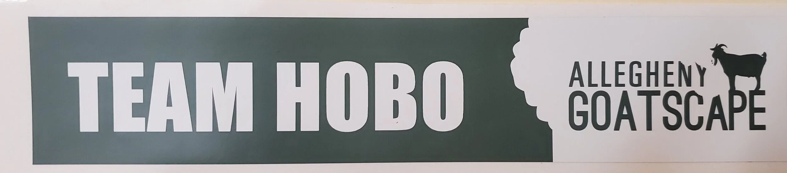 TeamHobo+sticker.webp