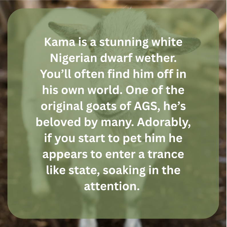 kama bio.png