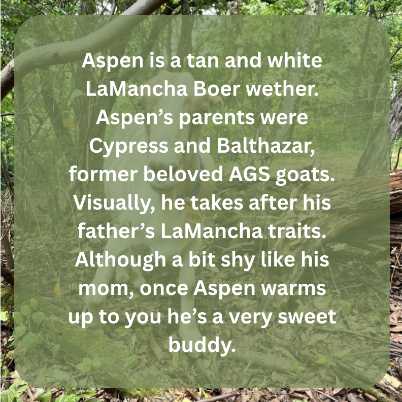 aspen bio.png