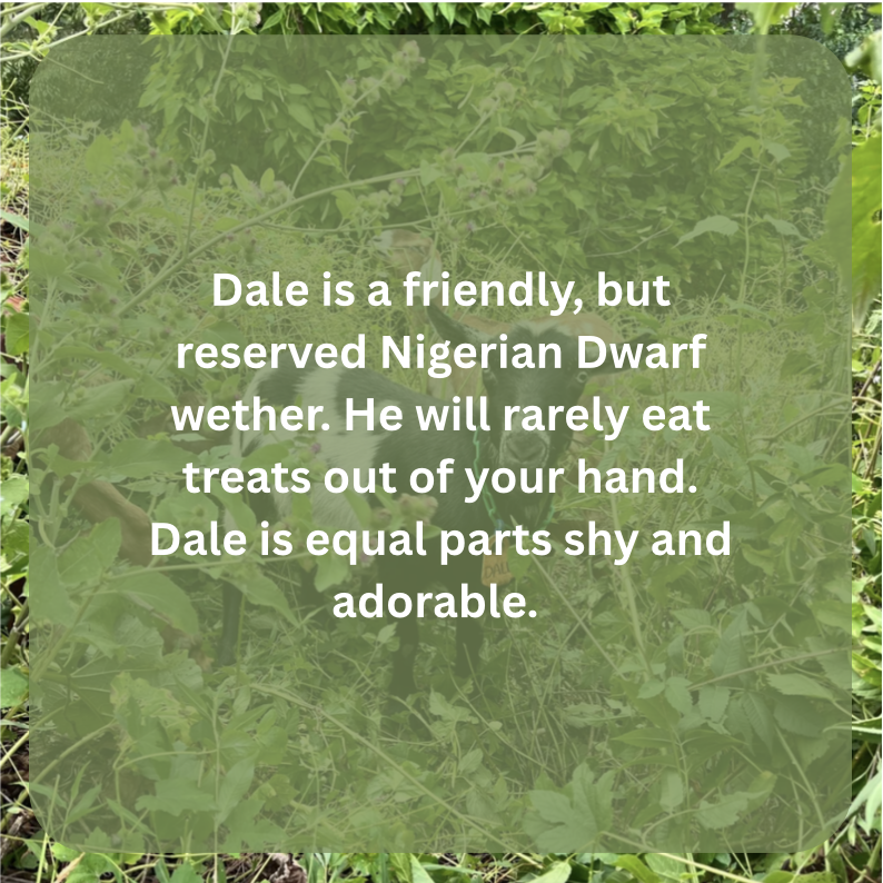 dale bio.png