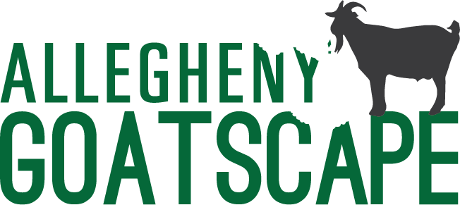 Allegheny GoatScape