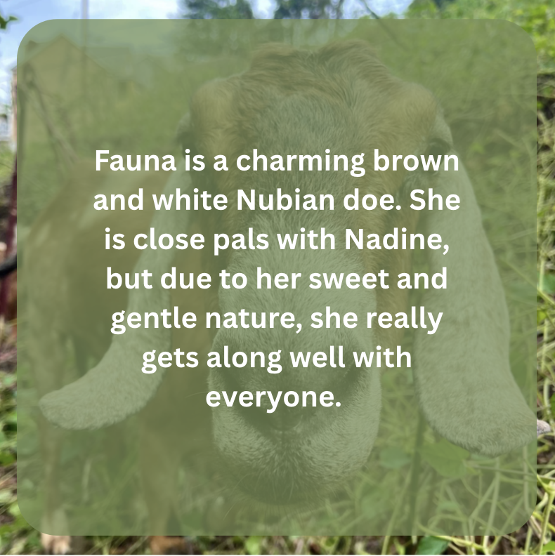 fauna bio.png