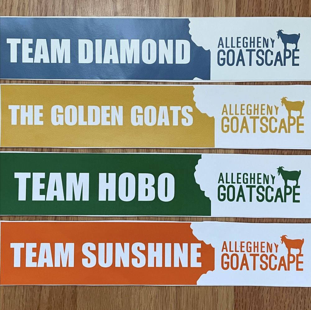 Team_Stickers.webp
