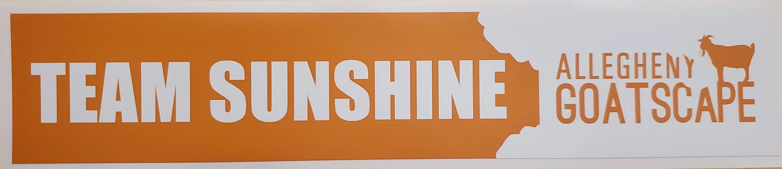 TeamSunshine+sticker.webp