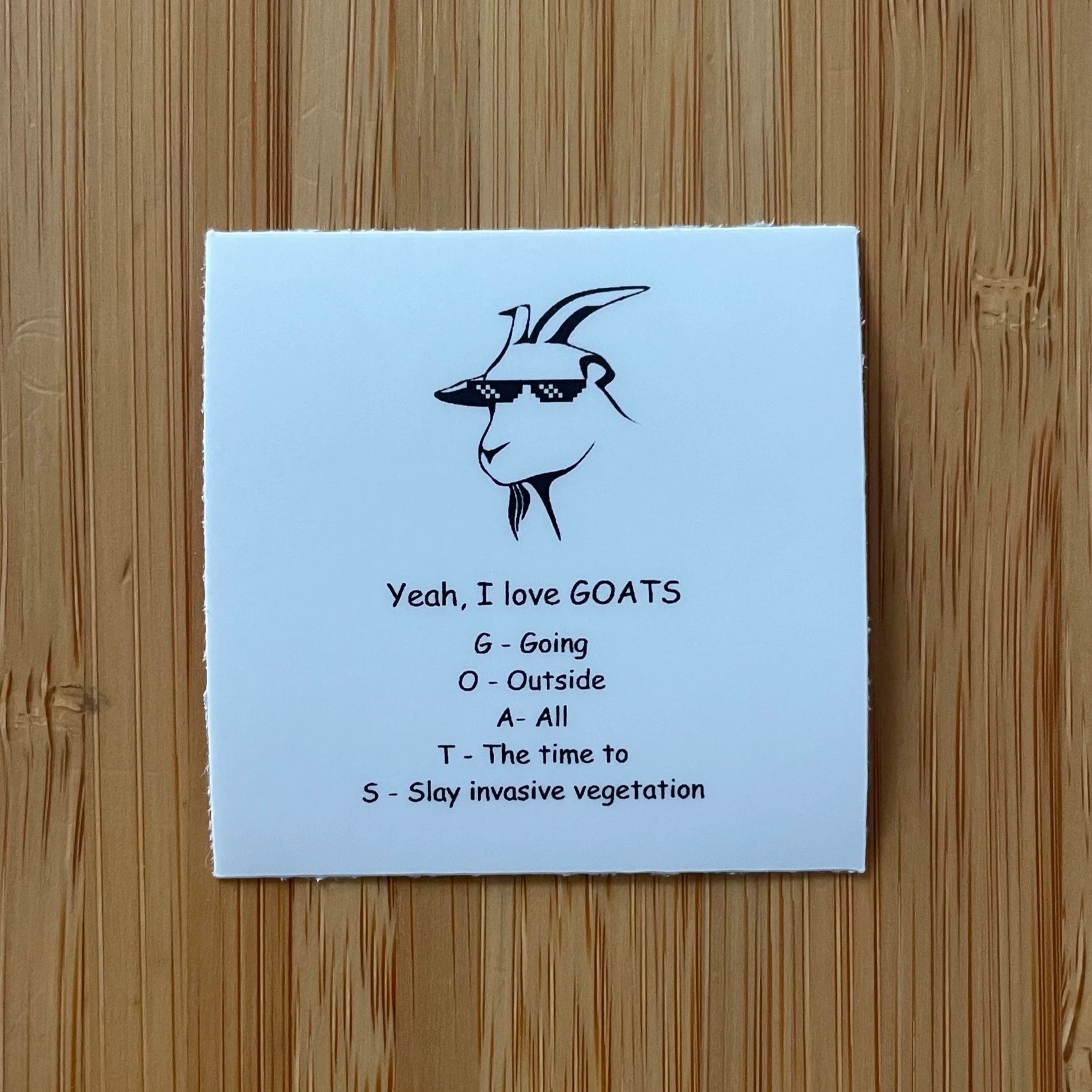 SunniesSticker2.jpg
