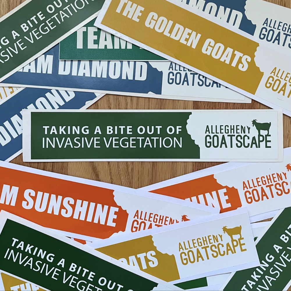 Allegheny Goatscape Bumper Stickers