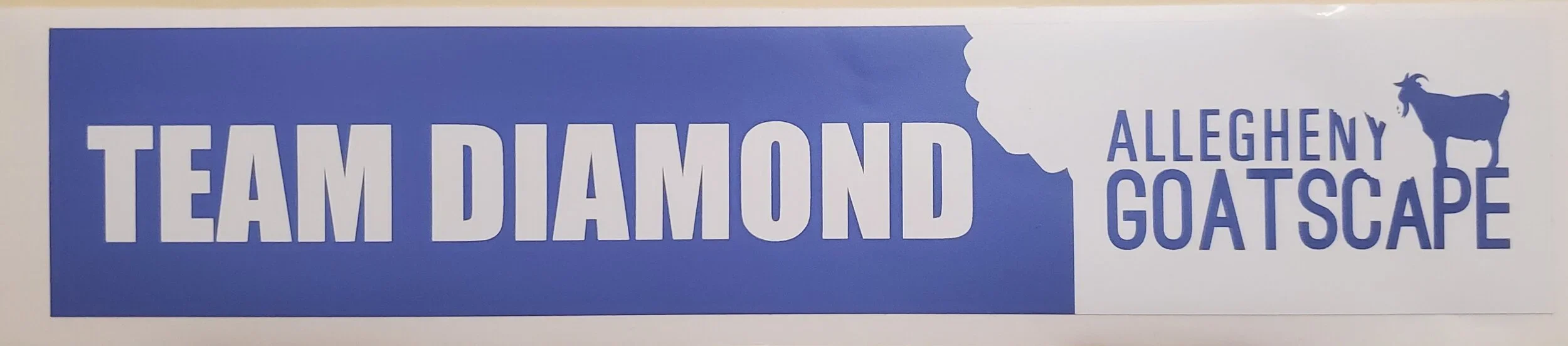 TeamDiamond+sticker.webp