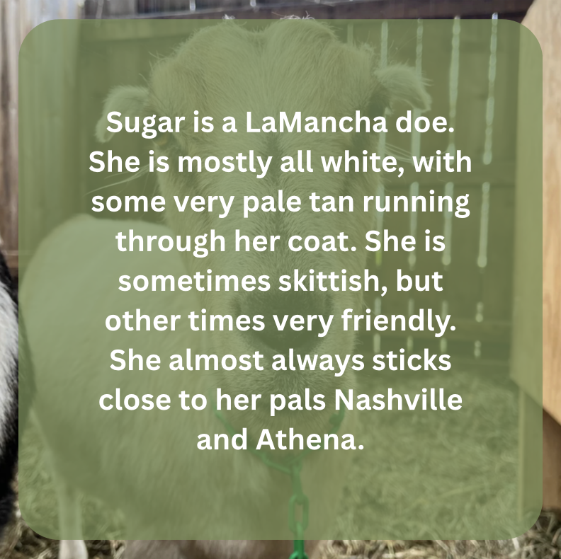 sugar bio.png