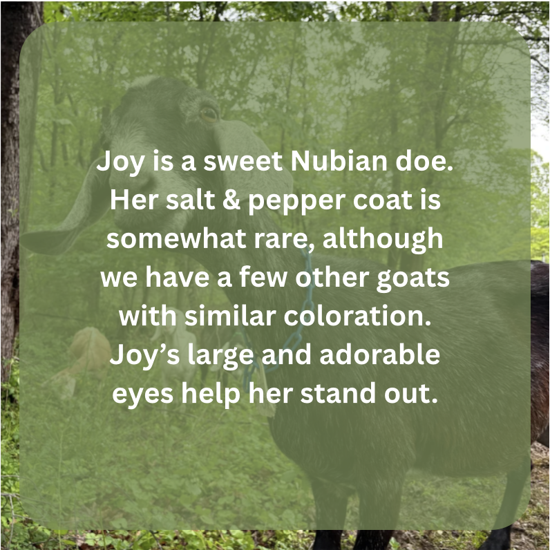 joy bio.png