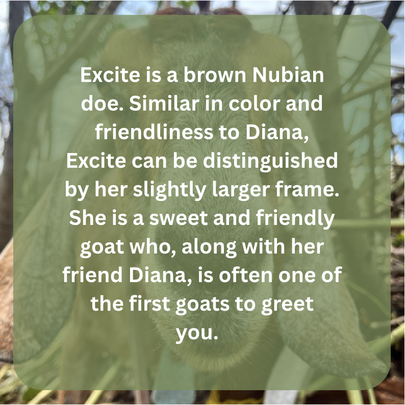excite bio.png
