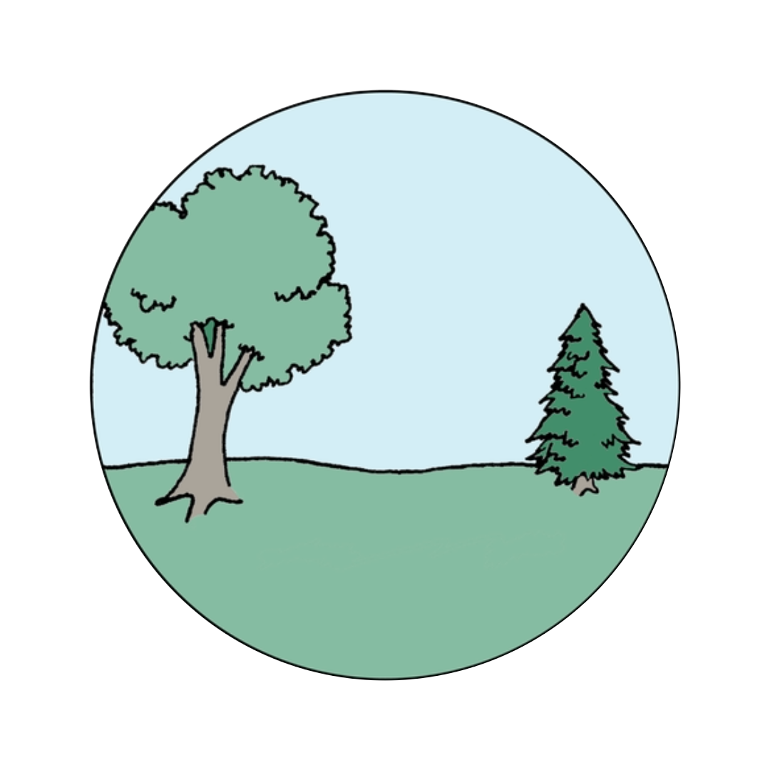 Cartoon drawing depicting the landscape after the goats aredone. A green tree and a pine tree remain on a grassy landscape with no invasives.