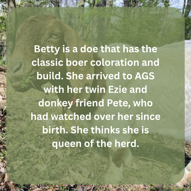 betty bio.png