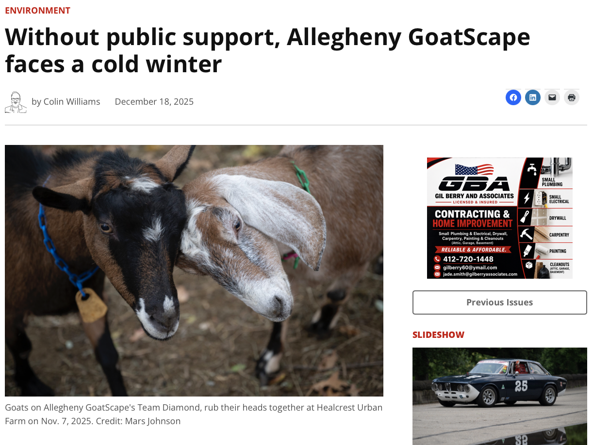 City Paper Winter Feature